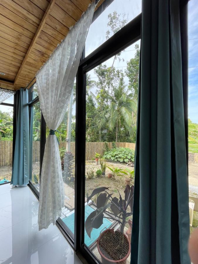 카르멘 Casa Aguelo Chocolate Hills B&B 외부 사진