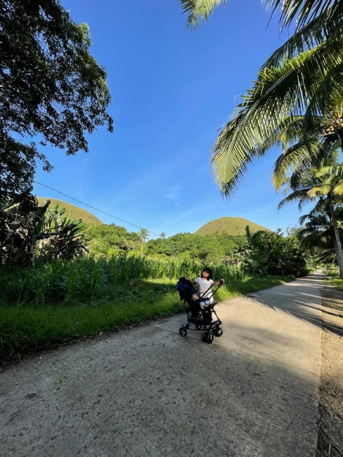 카르멘 Casa Aguelo Chocolate Hills B&B 외부 사진