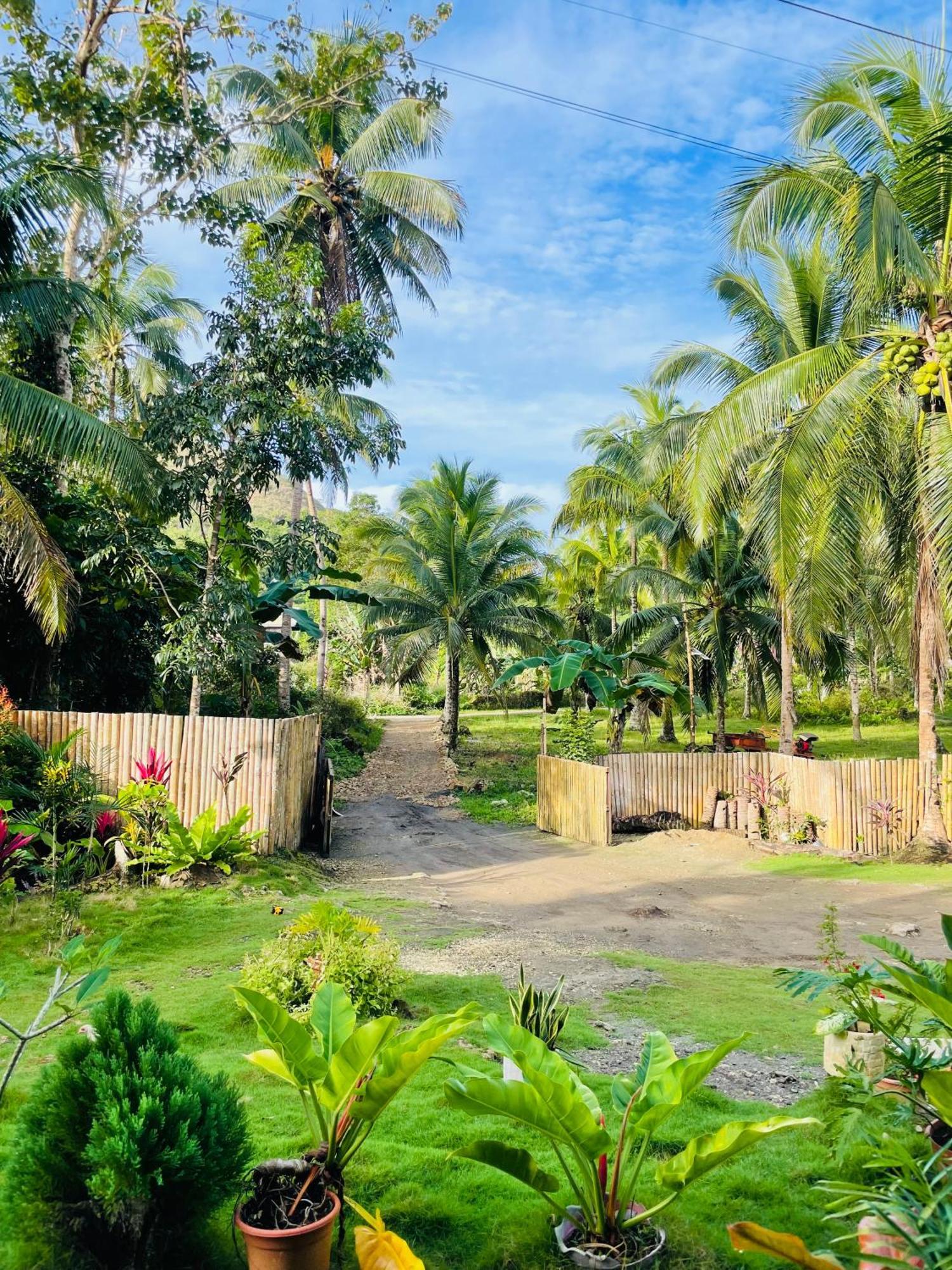카르멘 Casa Aguelo Chocolate Hills B&B 외부 사진