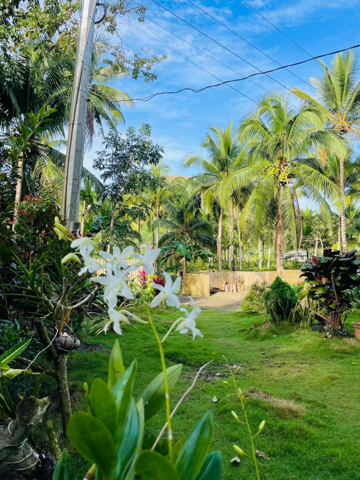 카르멘 Casa Aguelo Chocolate Hills B&B 외부 사진