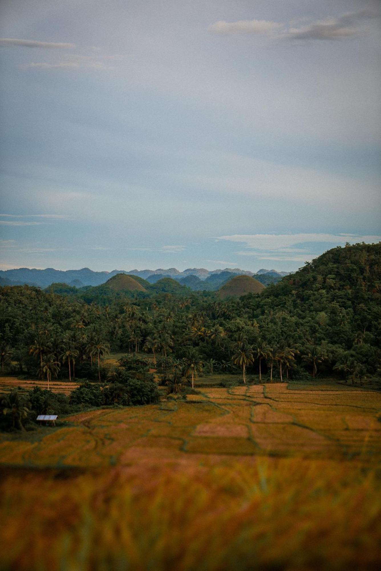 카르멘 Casa Aguelo Chocolate Hills B&B 외부 사진